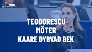 Teodorescu Möter Kaare Dybvad Bek