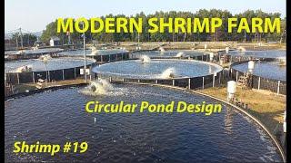 MODERN SHRIMP FARM - CIRCULAR POND DESIGN #19 | #FISH