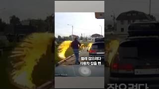 전자담배로 벌레 잡으려다 '화르르' #shorts