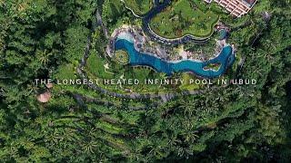 The longest heated infinity pool in Ubud