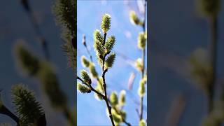 Как отпустить отношения? #отношения #доверие #любовь