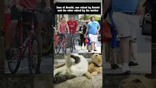 Random Post #trendingshorts #memesworldofficial #viralvideos