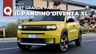 FIAT GRANDE PANDA 2024 | Ora è “PANDONA” lunga 3,99 mt (da 15.000 euro?) | Motori, stile e PREZZI