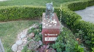 Toto Dog The Wizard of Oz Memorial Hollywood Forever Cemetery LA CA USA 3-7-2020