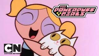 POWERPUFF GIRLS | Konuşan Kedinin Suçu | NOSTALJİK İKİ TAM BÖLÜM | Cartoon Network Türkiye