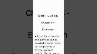 What is Pyramids of number? Class 12 Biology Chapter 14