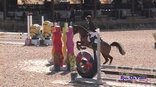 320S Elisa Karnavy on Foxens Little Treat Starter Championship  Show Jumping Galway Downs Nov. 2024