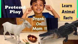 Arko and Mom Fun Educational Pretend Play - Learn Animal facts for kids | Google 3D Animals (Part2)