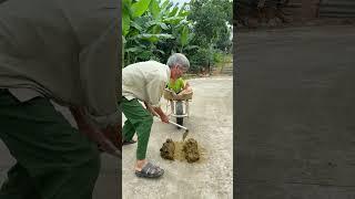 Ông nội tội nghiệp tiết lộ những bí mật hài hước ĐÁNG KINH NGẠC mà bạn chưa từng biết #shorts