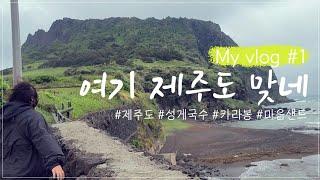 첫 여행브이로그/제주도/카라향 사러 제주도 다녀옴/플레이스캠프제주