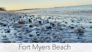 What does Fort Myers Beach look like? Virtual Beach Walk Looking for Treasures!