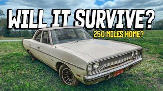 FORGOTTEN Plymouth Satellite! Will It RUN and DRIVE 250 Miles Home?