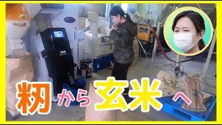 【田舎暮らし】もみすりをしました！！！！【2023年】