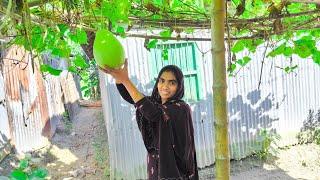 লাভলীর হাতে বাড়ির গাছের  টাটকা  লাউ  তুলে রান্না আর  বেগুনের চপ ভাজি