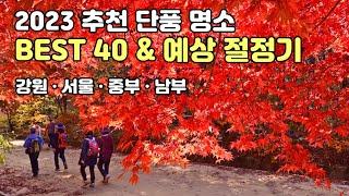 [뻔한 단풍 여행지 여기로 바꿔 보세요] 한국인 최고 선호 단풍명소 Best 40곳 - 아껴둔 감탄사 모두 쓰게하는 단풍명소 4K 영상&예상 절정기 정보(Autumn leaves)