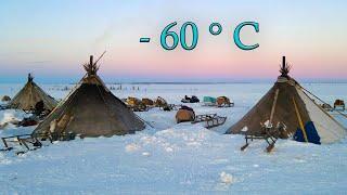 La vie des Nomades du Nord en hiver. Montagnes de l'Oural et vie dans la toundra Russie Film complet