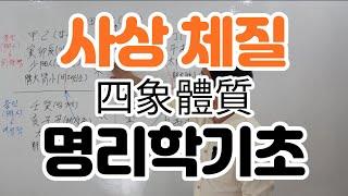 사주체질. 명리학 기초