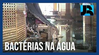 Bactérias danosas à saúde são identificadas na água das inundações em Porto Alegre (RS)