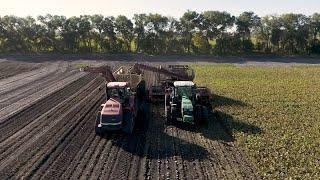 AgweekTV: Sugarbeet Harvest with ECO - Sponsored Content