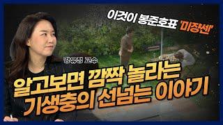 [강유정 교수] 알고보면 깜짝 놀라는 미쟝센 안에 숨겨진 감독의 의도