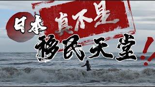 日本真不是中國新移民的天堂，这一波把日本當成理想國的新移民，很多都被蹂躪的遍體鱗傷，開始準備回國了