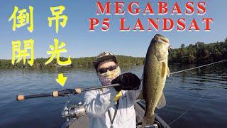 Megabass Destroyer P5 Landsat 倒吊開光！實釣初印象｜Dropshotting with Megabass P5 Landsat: first impression