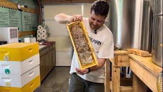 2024 Honey Extraction with Dave Handsbury - Part 1