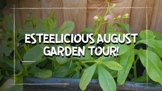 August Garden Tour Grow food and trying to keep things alive in the heat