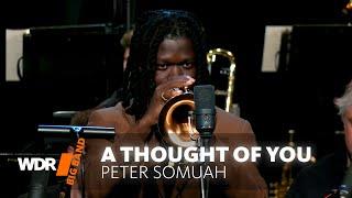 Peter Somuah - A Thought Of You | WDR BIG BAND