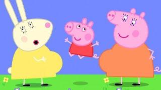 Peppa Pig Português Brasil  Bebês HD | Pepa ping ping