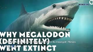 Megalodon, the ancient shark, may have re-emerged | Mexico News | NewsRme