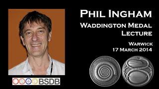 Waddington Medal Lecture- Phil Ingham