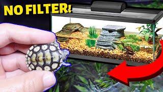 *DIY* NO FILTER, NO HEATER, NO LAMP TURTLE TANK!