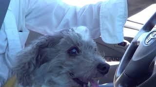 Zuma beach with Frankie + Joe Nania 7-25-2016