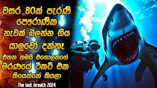 වසර 80ක් පැරණි නැවක් බලන්න ගිහින් අපායට යන්න ටිකට් එක ගත්ත යාලුවෝ  | 2024 movie | Horror recap