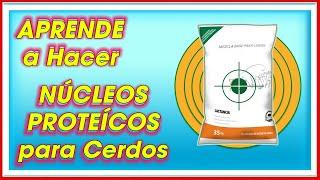 Como elaborar un NÚCLEO PROTEICO y ENGORDAR MÁS RÁPIDO Cerdos ǀ Ing. Jannin Hernández Blandón MSc