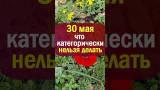 30 мая народный праздник день Евдокии Свистуньи. Что нельзя делать. Народные приметы традиции обряды