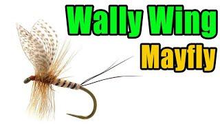 Wally Wing Mayfly Fly Tying