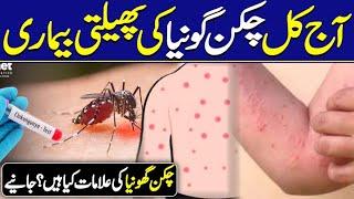 Chikungunya Symtoms / Treatment and Precautions / Chikungunya Home Treatment / DR. Ali Azam