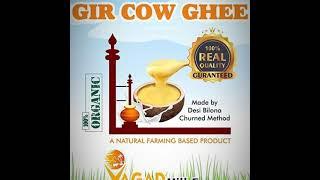 VAGAD A2 Desi Gir Cow Ghee, Organic Vaidik Bilona Ghee 500ml from VAGAD Hill Farm