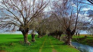 This is why you should HIKE in Ammiq Lebanon. By ProMax