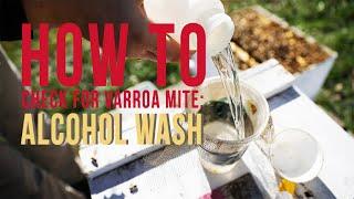 How to check for varroa mite: ALCOHOL WASH