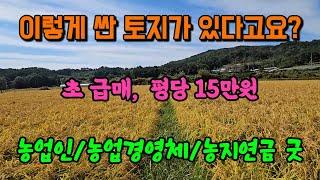 넓은 면적 땅값 싼 양평 토지 땅 농지 매매 매물 급매 급매매 급매물/양평군 개군면