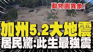 加州聖地牙哥5.2極淺層強震! 地震瞬間"動物園異象"曝光! 居民驚:此生最大震!