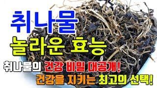 취나물의 놀라운 효능 8가지 & 부작용 / 취나물로 건강하게! : 비타민과 미네랄의 보고 주요 성분과 이점 총정리
