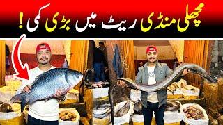 Big drop in the prices of fish market in Lahore | Fresh Fish market | Fish market rates in Pakistan