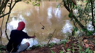 PANCING SAYA DI MAKAN MONSTER SUNGAI BESAR JORAN SAMPAI TERBANG NGAK KETULUNGAN