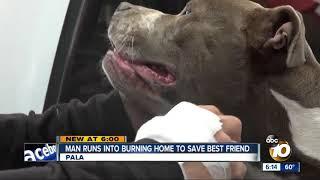 Man runs into burning home to save his dog