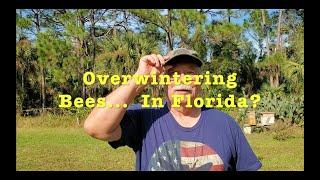 Overwintering Bees...  In Florida?