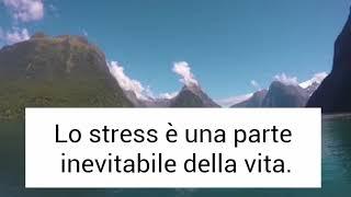 Lo stress: un nemico da domare con il Life Mental Coach